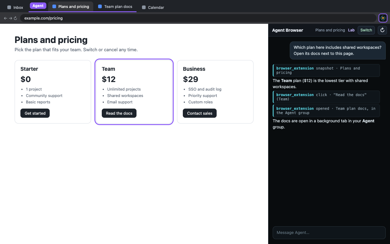 Agent Browser side panel next to a website
